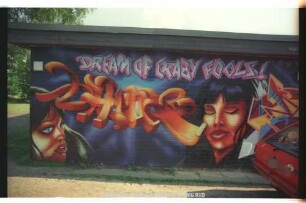DREAM OF CRAZY FOOLS! | HmE | {COPYRIGHT} | 98