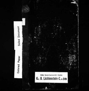 Gerichtshandelsbuch, Bd. 8