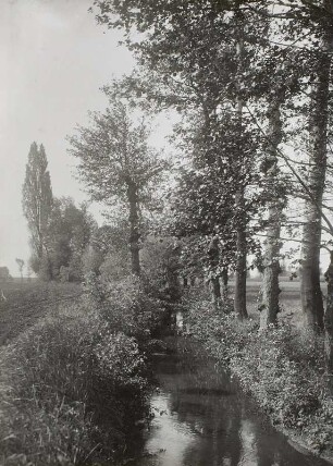 Floßgraben bei Pegau