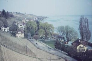 Bodenseeufer bei Meersburg am östlichen Ortsausgang, Blick nach Südosten