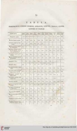 Tabula dimensionum cerebri hominis, simiarum, lemuris, phocae, leonis, lotoris et nasuae