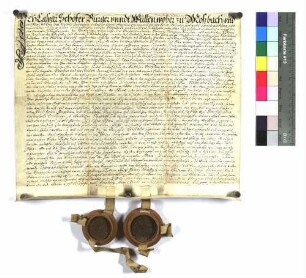 Gültbrief des Caspar Schöfer von Mosbach für den Spittel zu Gundelsheim