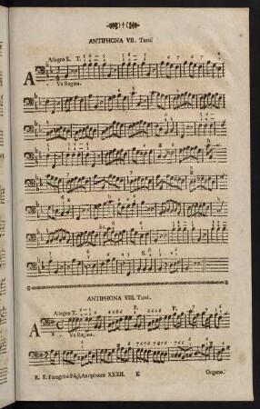 Antiphona VIII.