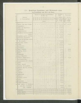 XIV. Bewilligte Invaliden- und Altersrente 1909.