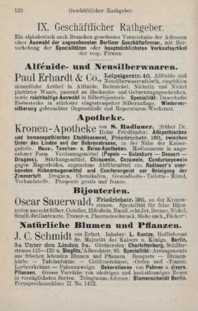 IX. Geschäftlicher Rathgeber