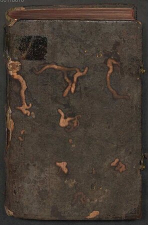 Regel - Dombibliothek Freising Alto MS Z 00215