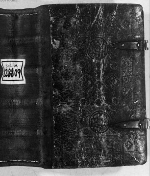 Diurnale ordinis Carthusiensis - BSB Clm 28809