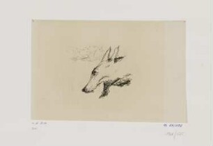 Kopf eines Wolfes, aus: Octave Mirbeau, "Dingo", Paris 1924