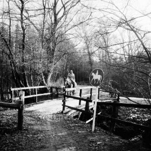 Rade: Oberalstertal: Rader Forst: Sielbek: Brücke mit Holzgeländer: darauf Reiterin: vorn rechts Verkehrsschild für Reitweg: hinten Bäume: Winter