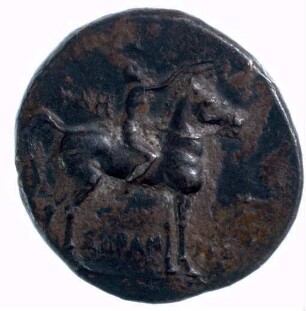 Münze, Didrachme, ca. 272-235 v. Chr.