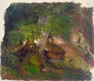 Waldstudie