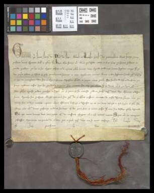 Mainz (Franziskaner): Bulle des Papstes Gregor IX., die Minoriten betreffend