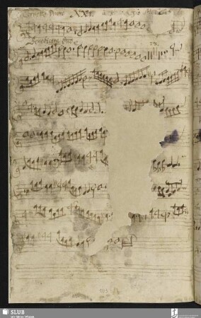 [Cesare, Giovanni Martino:] Benedicite Domino