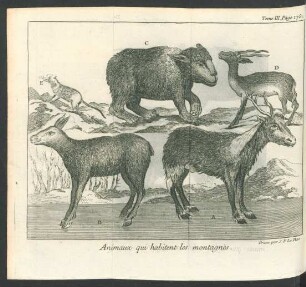 Tafel: Animaux qui habitent les montagnes.