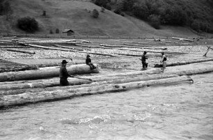 Crucea: Flößer bauen Floß (im Wasser stehend)