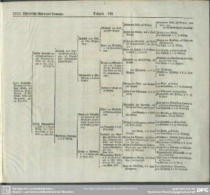 Tabula VII. XXXII. Mütterliche Ahnen von Domantze