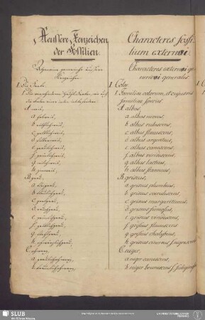 [Tabellarische Aufstellung der äußeren Kennzeichen der Fossilien, mit lateinischer, französischer und spanischer Übersetzung (unvollständig)]
