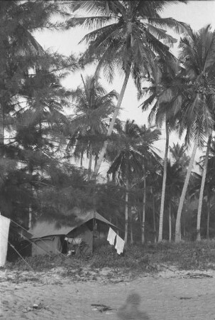 Zelt von Nowack : Zelt, des Expeditionsmitgliedes Ernst Nowacks, an einem Strand unter Palmen