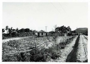 Bahia, Tabakbau und Tafelberg