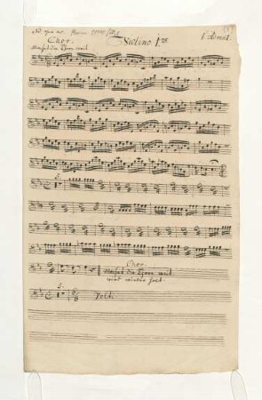 Violino 1mo (2x)