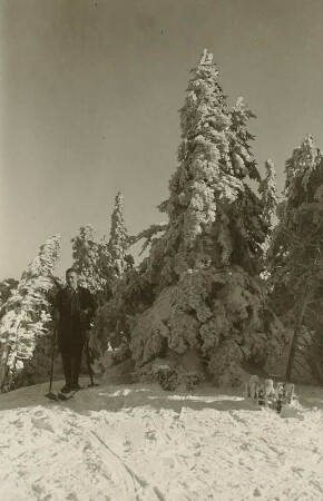 Osterzgebirge. Auf dem Kahleberg