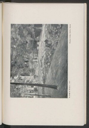 Kohlfeld in Wannsee
