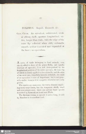 Bulimus. Scopoli, Lamarck, &c