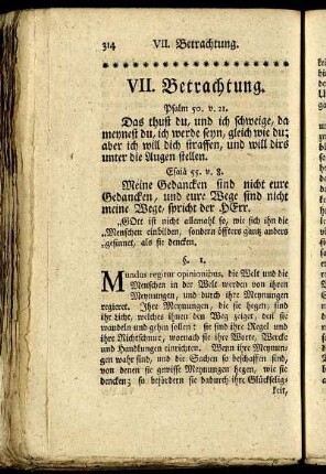 VII. Betrachtung.