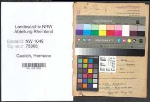 Entnazifizierung Hermann Guelich , geb. 03.09.1913 (Handelsvertreter)