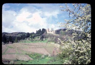 Blick auf Ruine Schauenburg