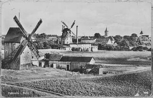 Polkowice (Polkwitz). Holländermühle und Bockmühle, Ansichtskarte, vor 1945, Repro (Holländermühle, ehem. Heimat des Müllers Wurche, vgl. Schkeuditz-Freiroda)