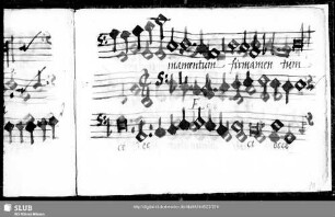 Wolfgang Figulus: Ecce Maria genuit