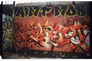 RAYoN zWERG BaP BUgS CSB RASt | AiN't NOBODY GONNA StOP US NOW – NEVER