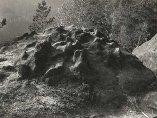 Elbsandsteingebirge. Thorwalder Wände. Kronengipfel. Aufblick auf einen Kronengipfel
