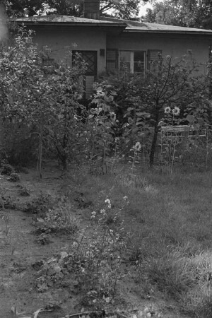 Blühender Garten am Teupitzer Wochenendhaus.
