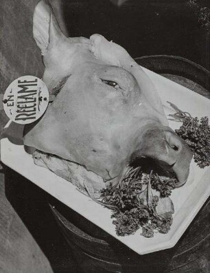Abgezogener Kalbskopf mit Petersilie im Maul, aus der Schlachthof-Serie