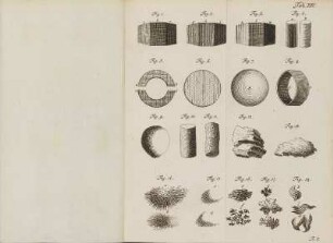 Tab. XIV.
