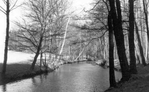 Dürrröhrsdorf-Dittersbach-Dittersbach. An der Wesenitz, unweit der ehem. Papierfabrik