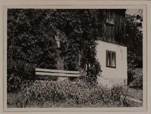 Haus in Aussee, Obertressen 6, bewachsene Hauswand, von Nahem