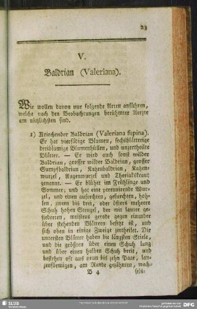 V. Baldrian (Valeriana)
