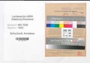 Entnazifizierung Anneliese Schuchardt , geb. 09.10.1916 ()