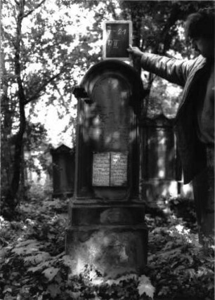 Grabstein A II/7/21