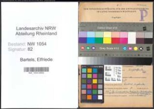 Entnazifizierung Elfriede Bartels , geb. 08.12.1907 ()