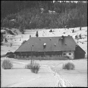 Der Steierthof