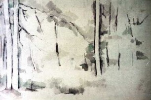 Waldlichtung