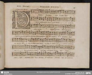 XIII. Dominus illuminatio mea