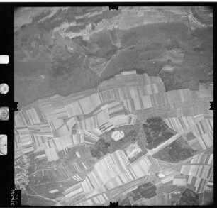 Luftbild: Film 81 Bildnr. 359