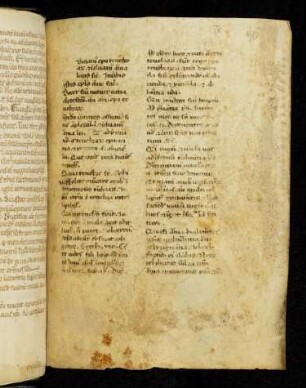 Sermones sive concepta et auctoritates ad sermones (unvollständig)