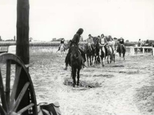 Ausritt in die Camargue