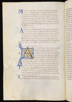 Lib. XIV (= lib. XIII,53-57 u. 59-79)
